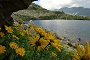 79 Doronico dei macereti con vista sul Lago dei Curiosi